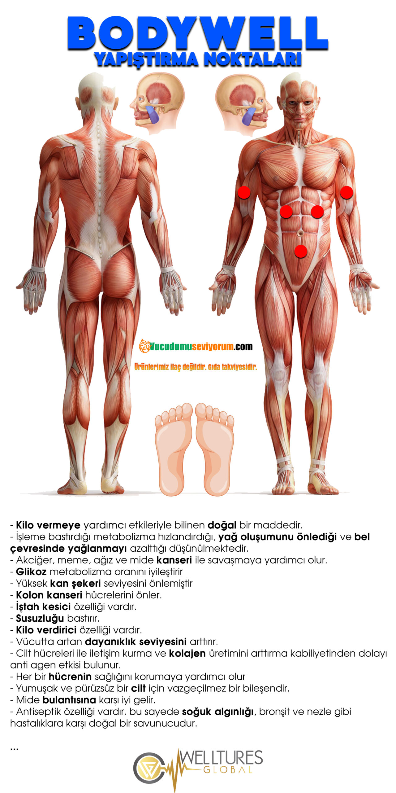 BODYWELL-YAPISTIRMA-NOKTALARI-VE-ACIKLAMA-scaled