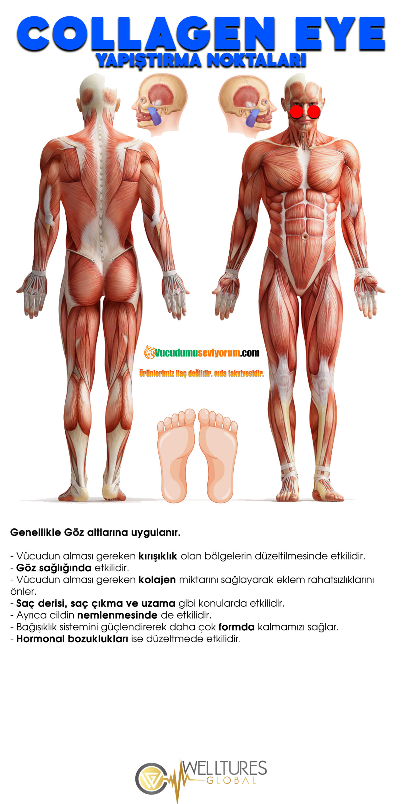 COLLAGEN-EYE-YAPISTIRMA-NOKTALARI-VE-ACIKLAMA-scaled