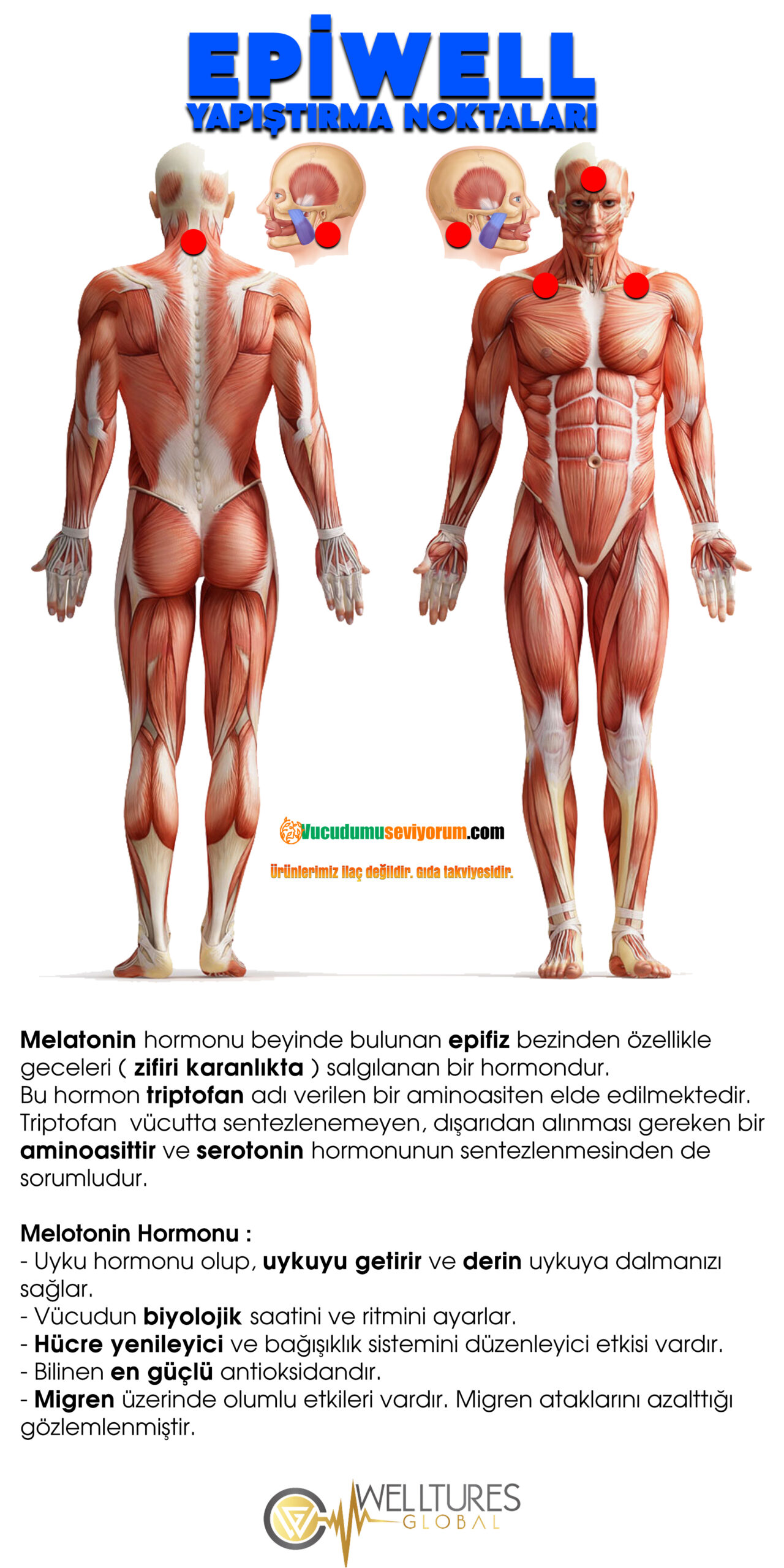 EPIWELL-YAPISTIRMA-NOKTALARI-VE-ACIKLAMA-scaled