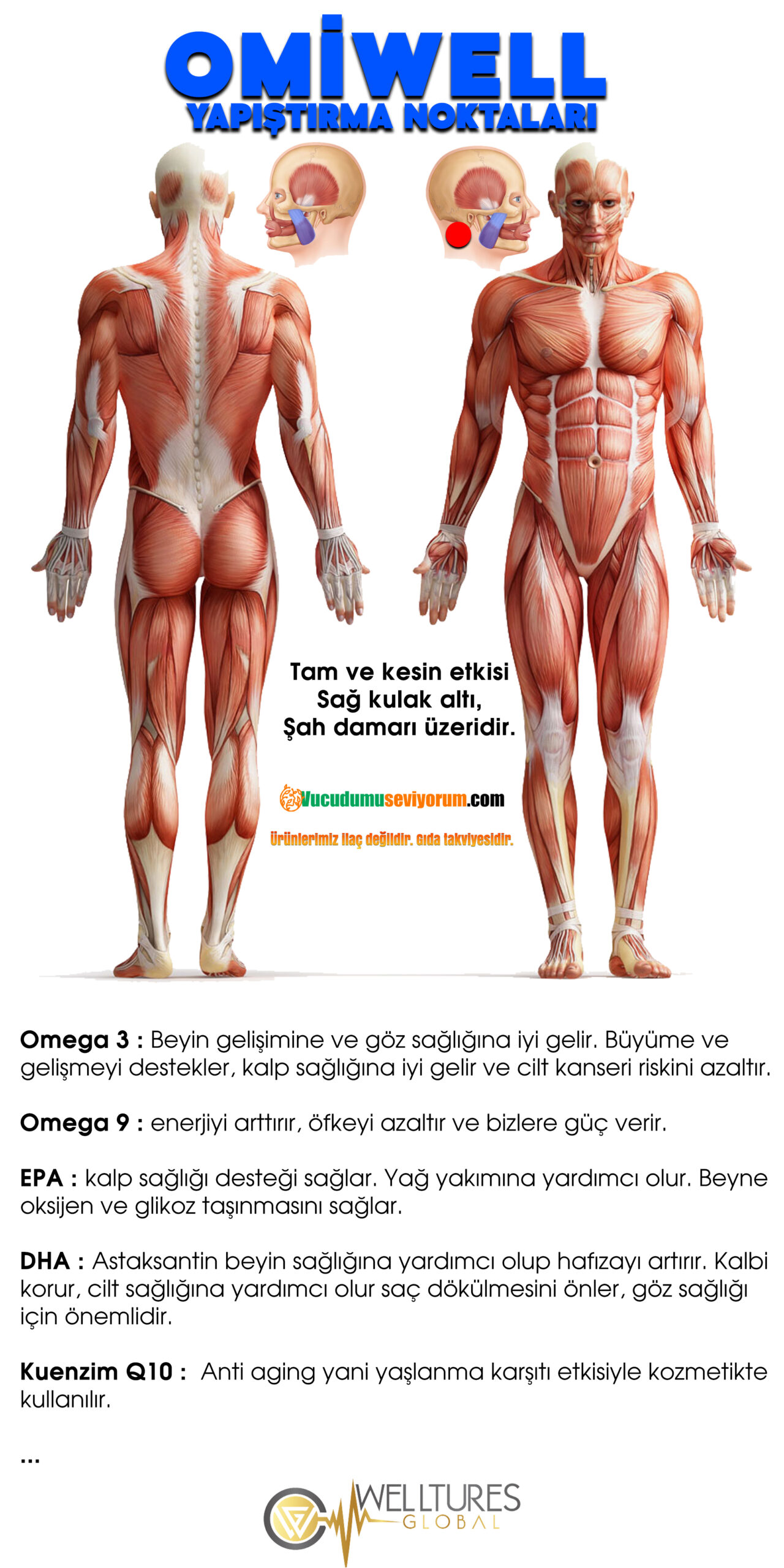 OMIWELL-YAPISTIRMA-NOKTALARI-VE-ACIKLAMA-scaled